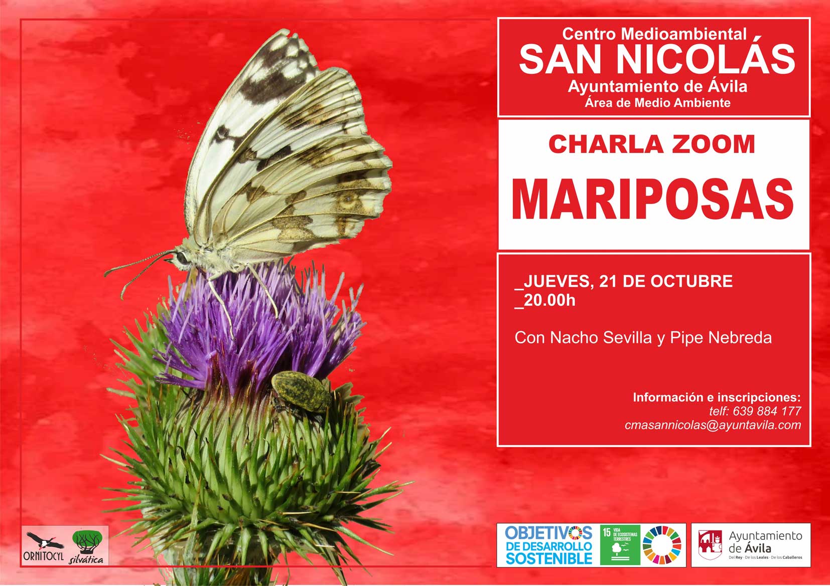Charla zoom mariposas