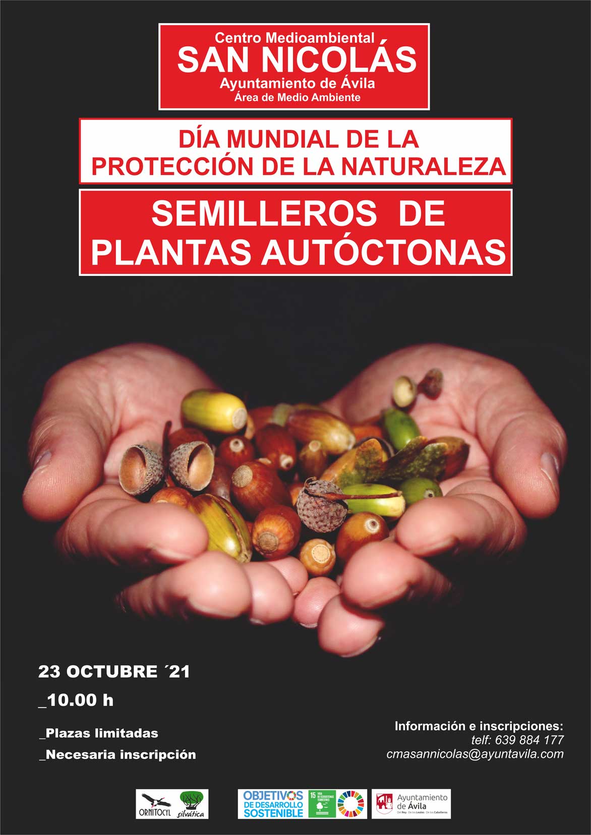 Taller de semilleros de plantas autóctonas