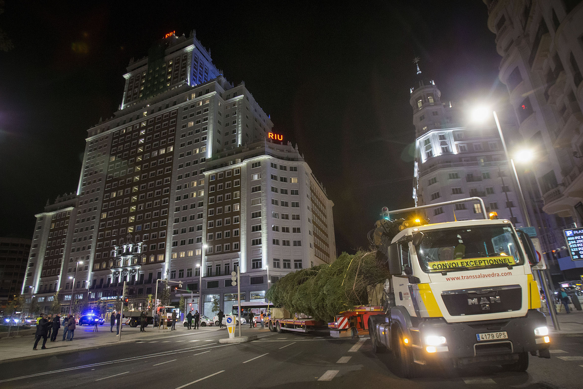Llega a la plaza de España el gran abeto natural de 18 metros que iluminará la Navidad madrileña