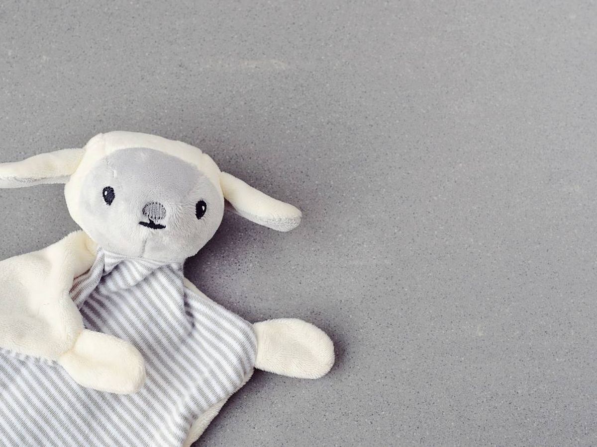 El Doudou, un juguete y un compañero de apego, según Centro Juguete