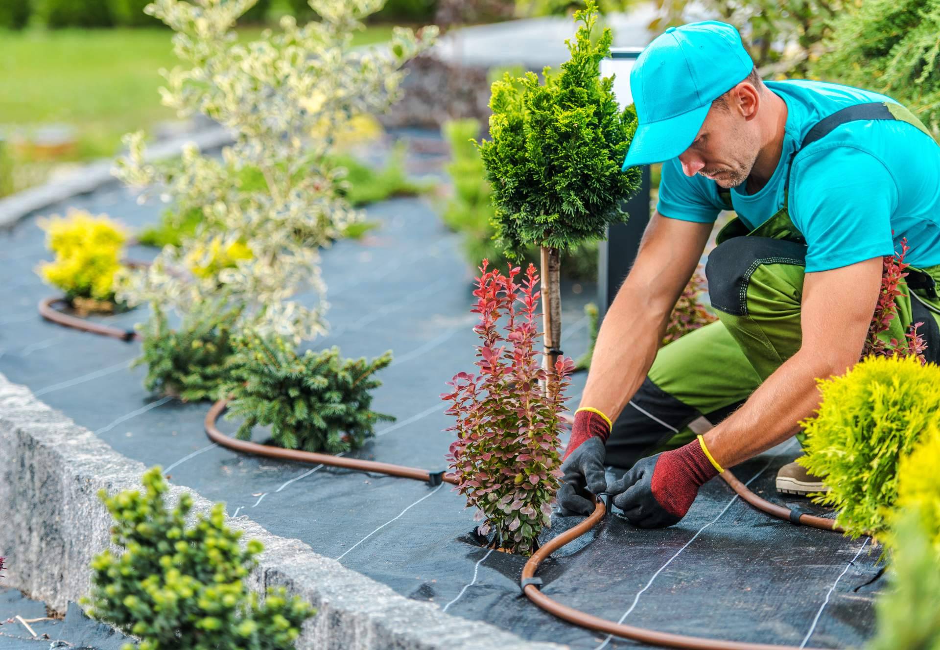 Suministros Tomás Beltrán dispone de artículos imprescindibles de jardinería