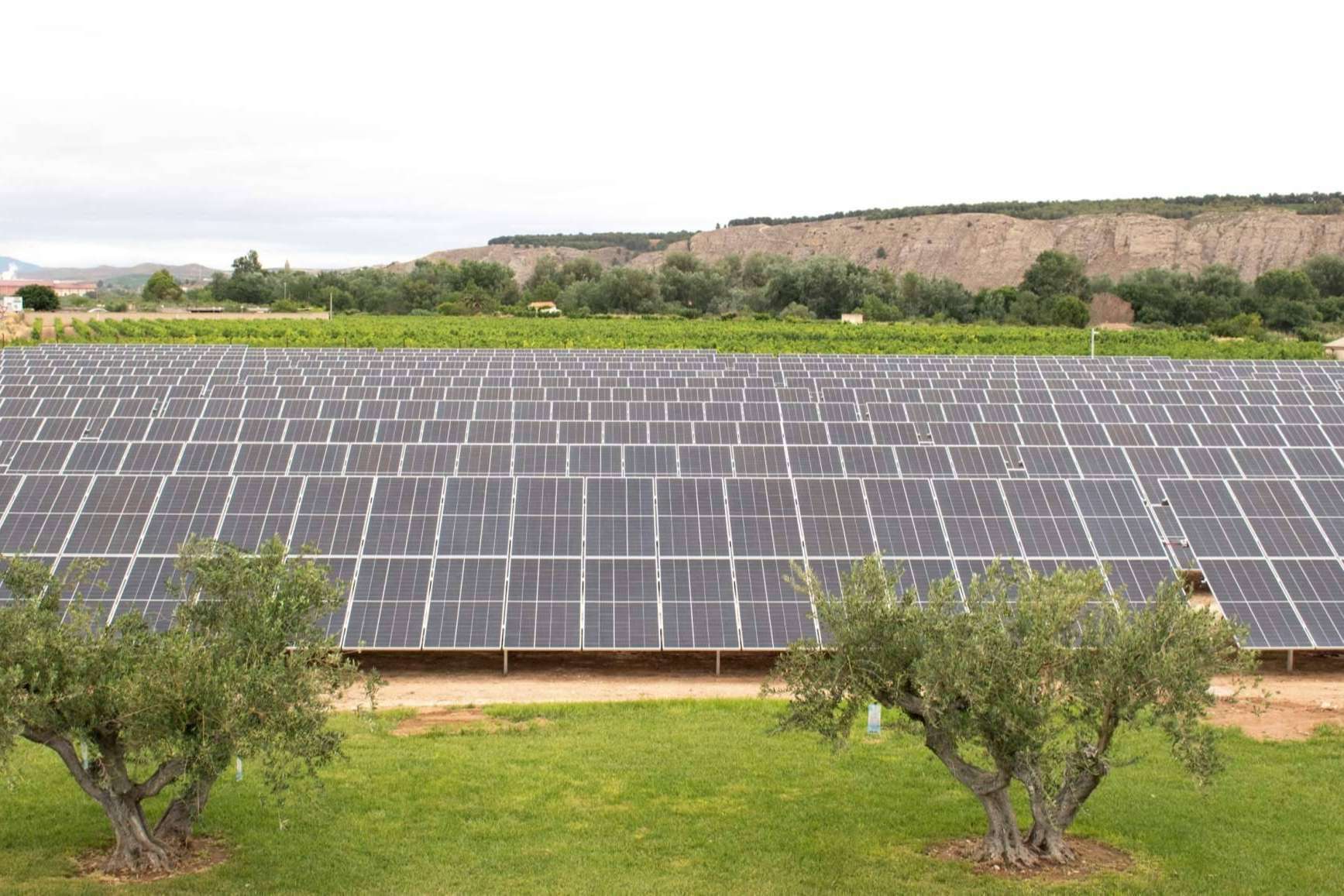 Una de las compañías pioneras en el autoconsumo de energía inaugura sus instalaciones fotovoltaicas, Intermalta
