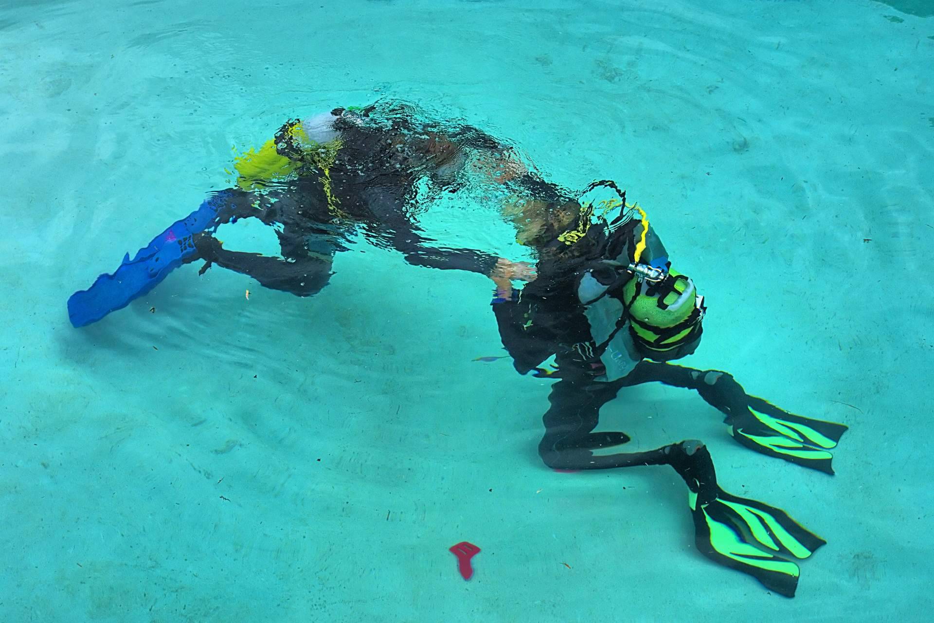 Los mejores cursos de buceo en España, de la mano de Diveasapp