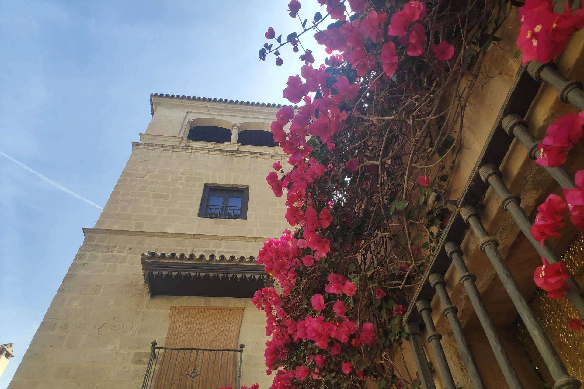 Malagaturismo.es y sus 4 free tours imprescindibles en Málaga