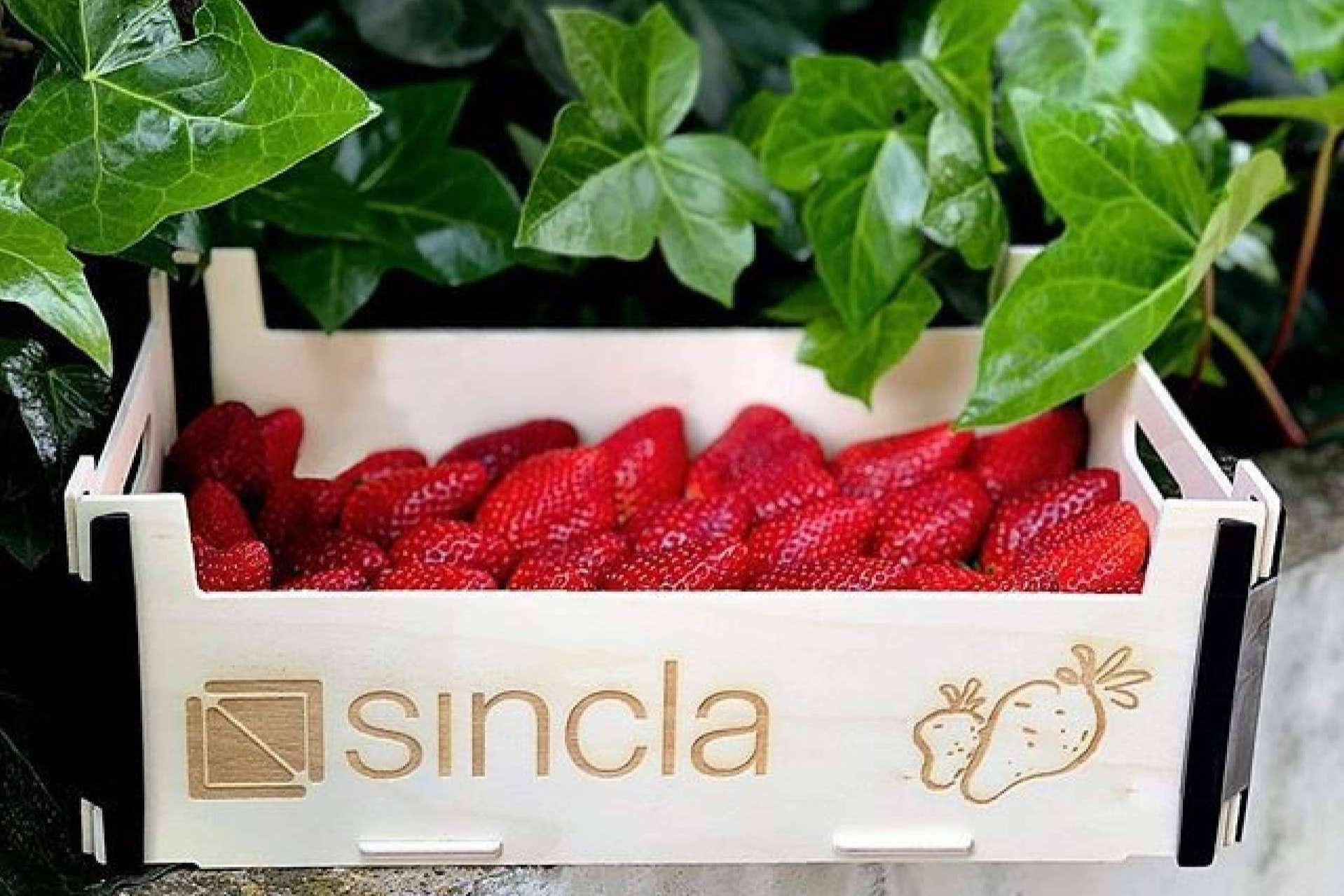 Cajas sin tapa, una de las mejores alternativas para el embalaje