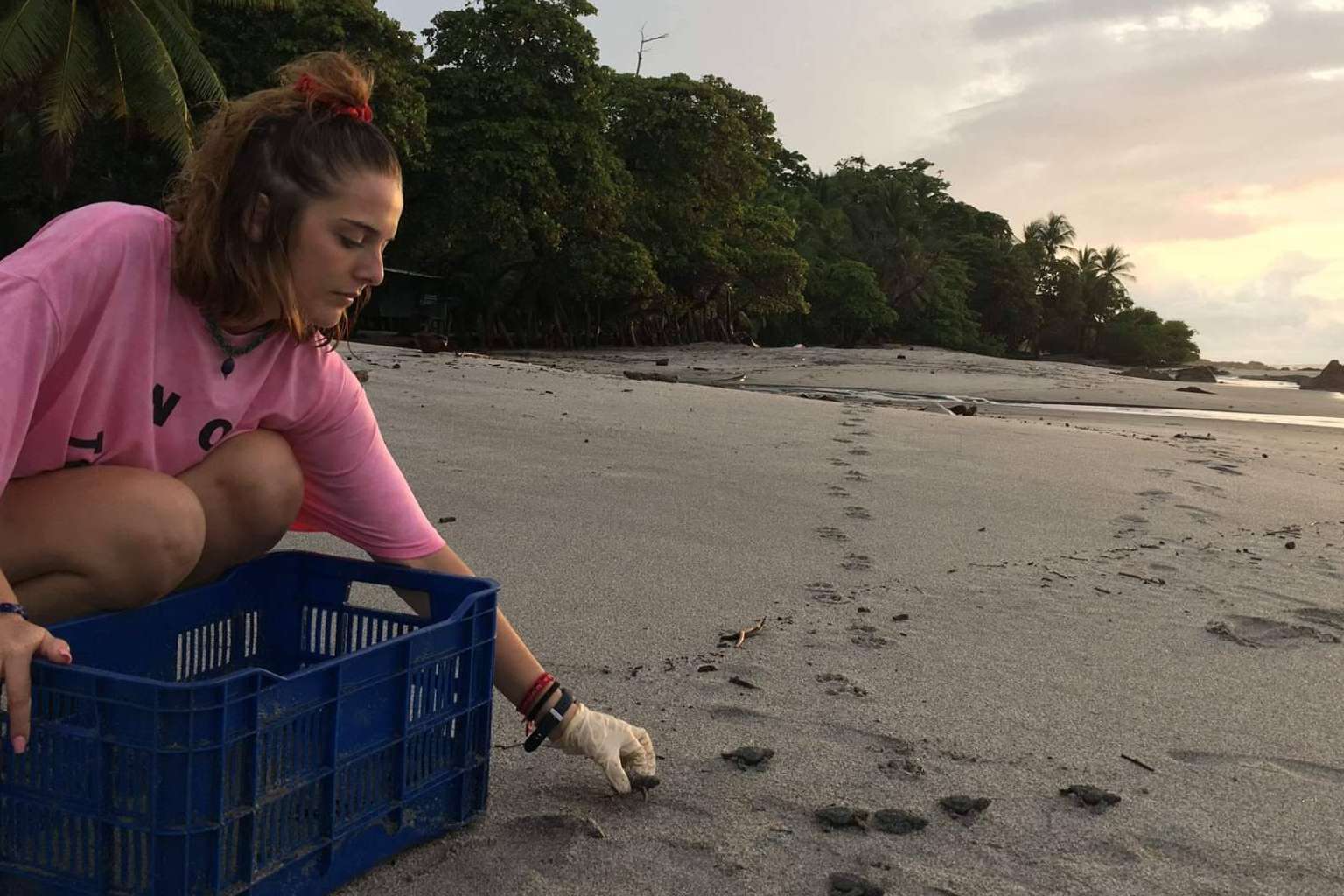 Cooperatour ofrece consejos de cómo elegir proyectos de voluntariado con animales
