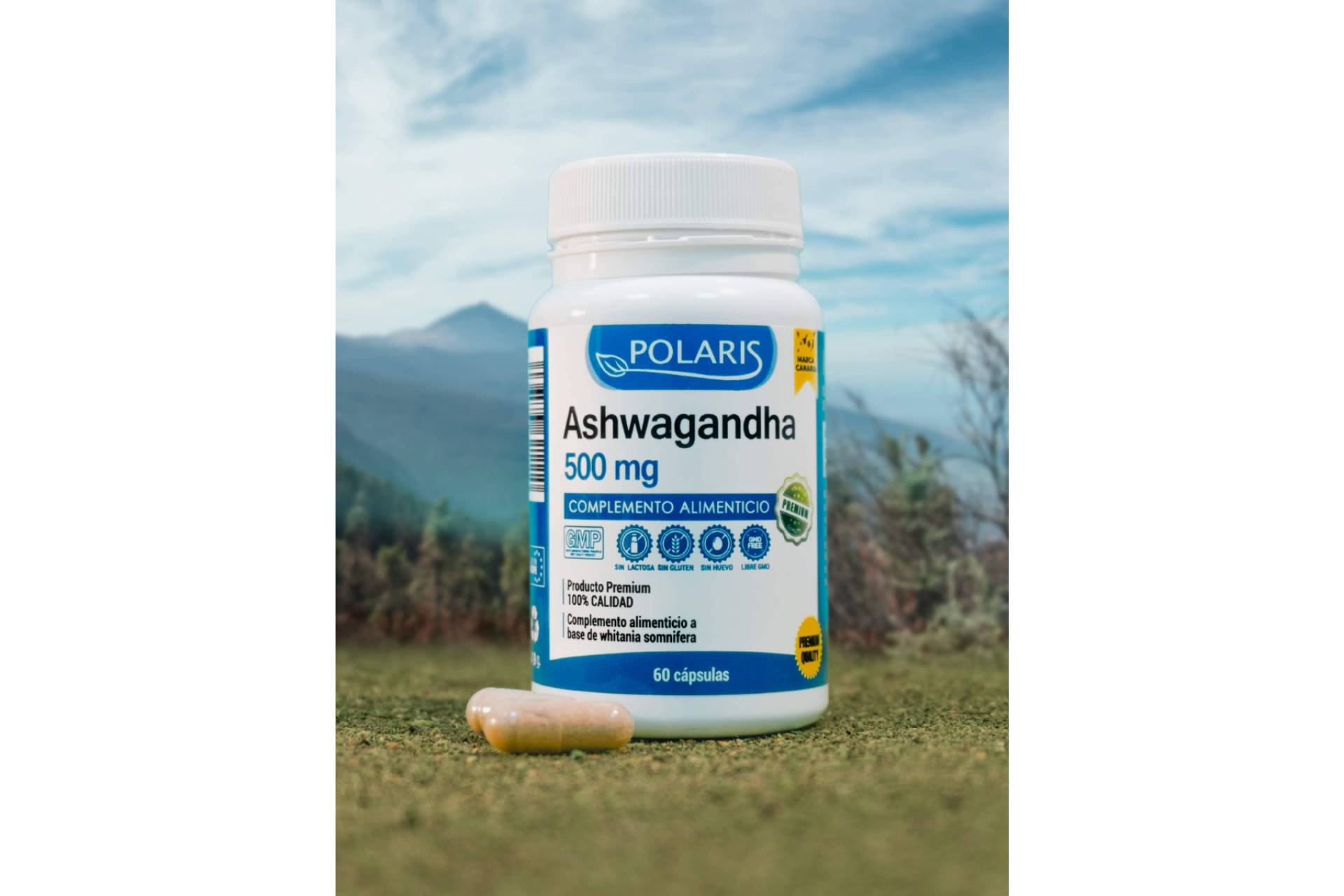 ¿Qué es y para qué sirve la ashwagandha?