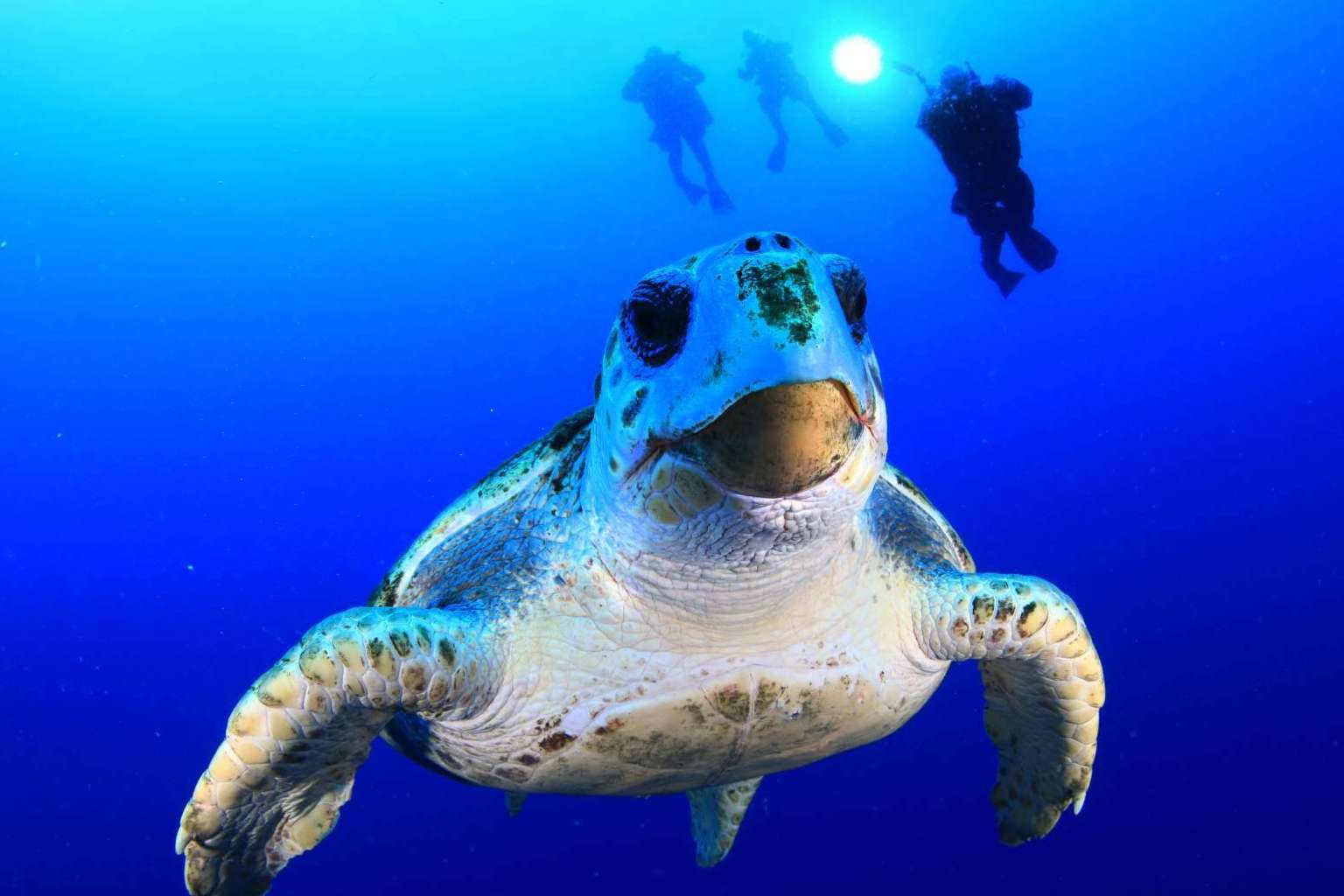 Lanzarote, uno de los mejores destinos para los amantes del buceo