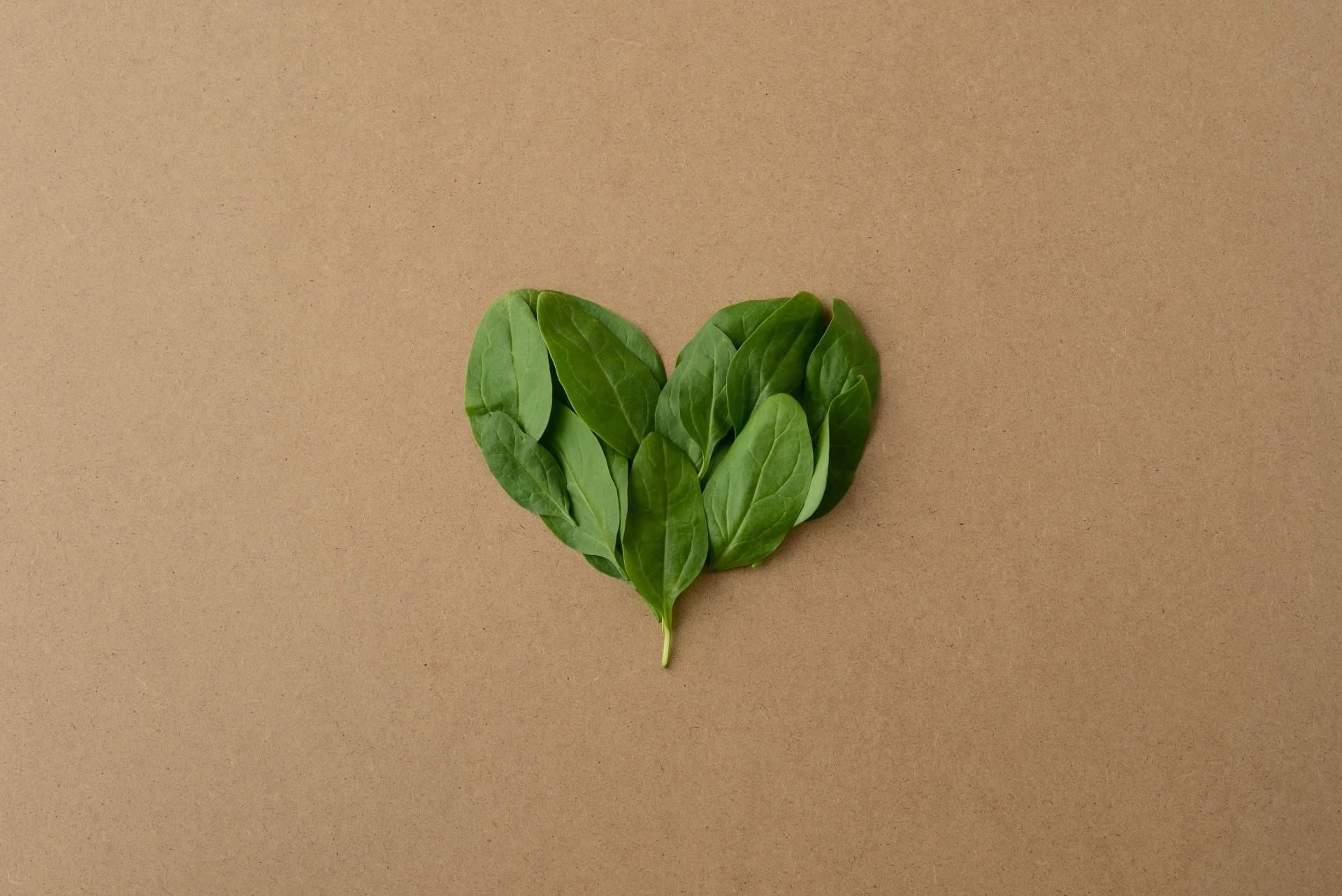 El 'Ecobranding' y la importancia de la marca en una organización