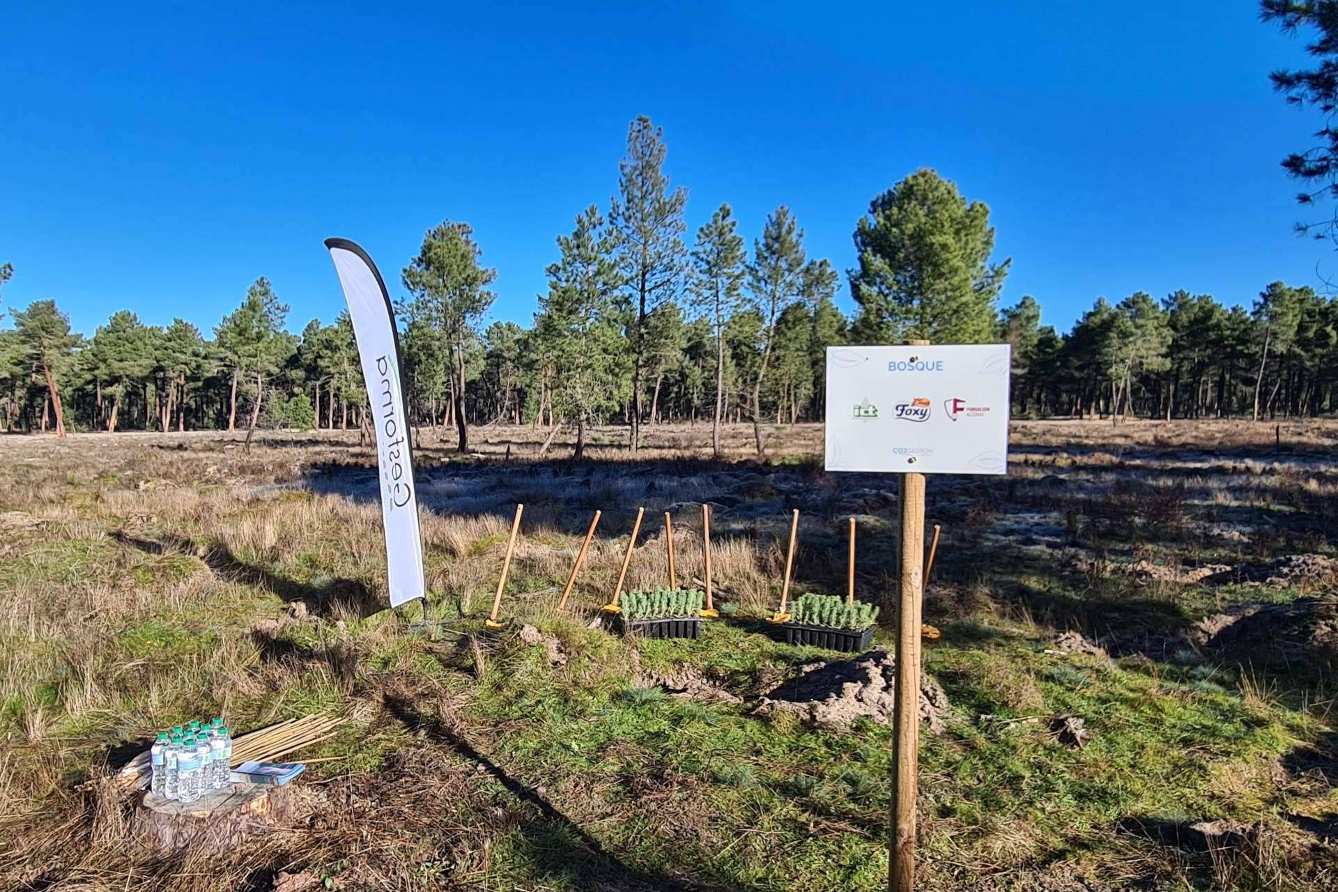 1.300 árboles para un nuevo bosque en Segovia