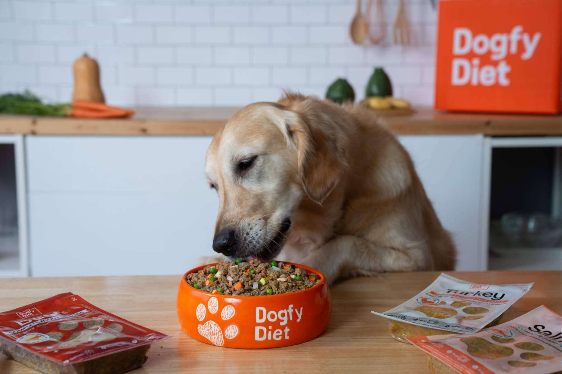 Tendencias actuales en alimentación natural para perros