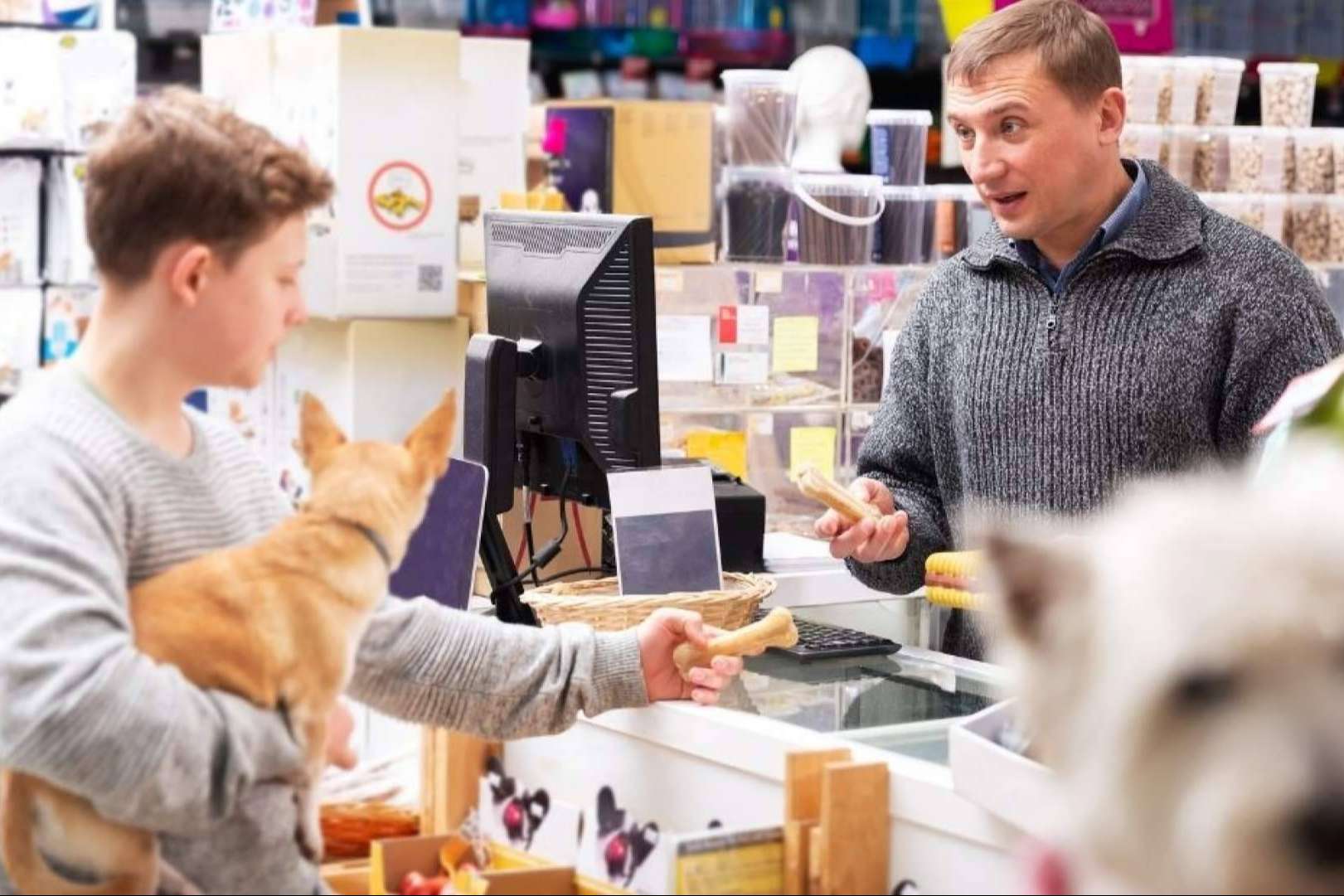 Gestor PetShop; La forma más sencilla de cumplir con VeriFactu en el negocio