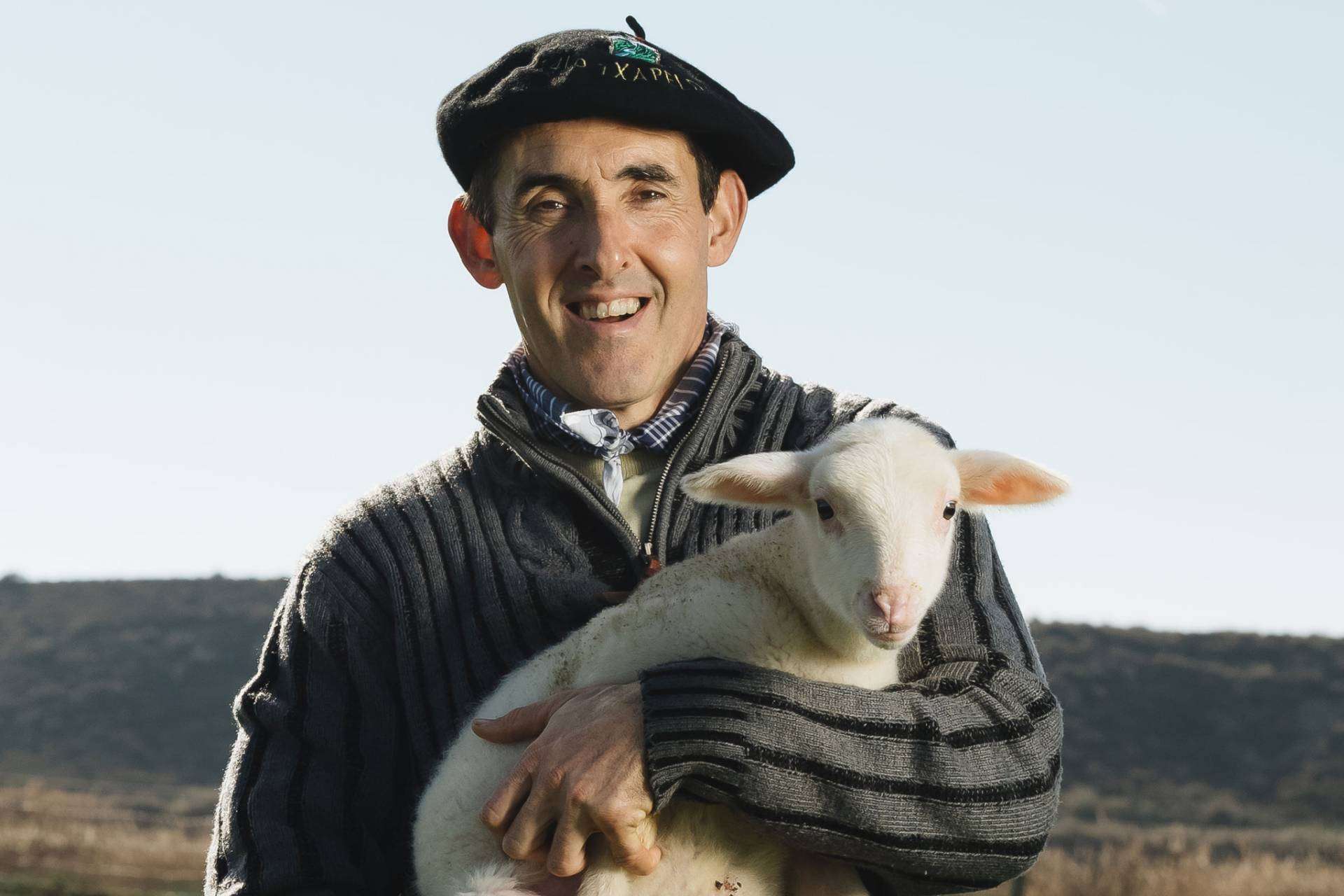Una selección destacada de quesos de Navarra en Kamiku