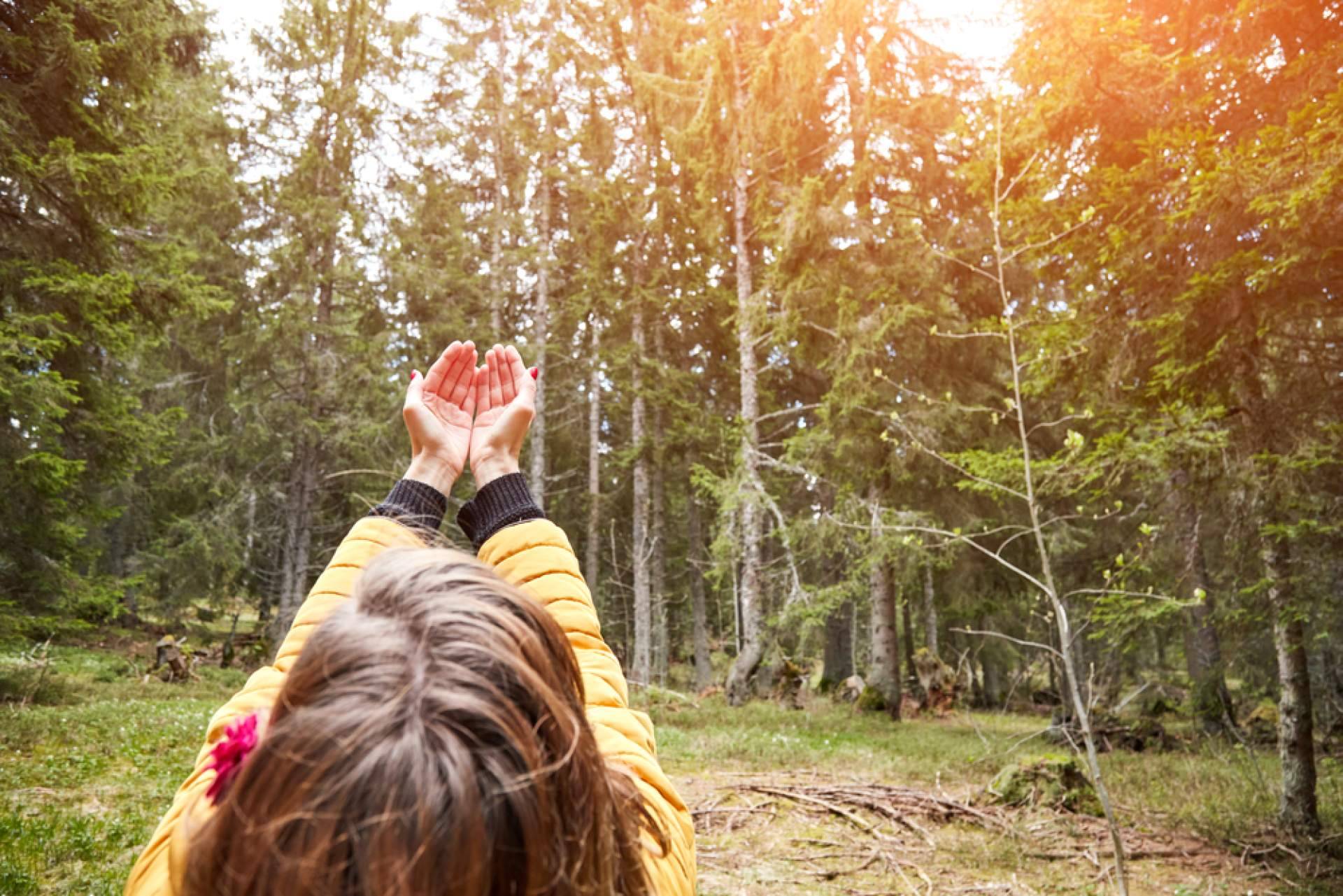 Naturaleza, silencio y contemplación, la propuesta de Casa Eutopía 2 en Enviny