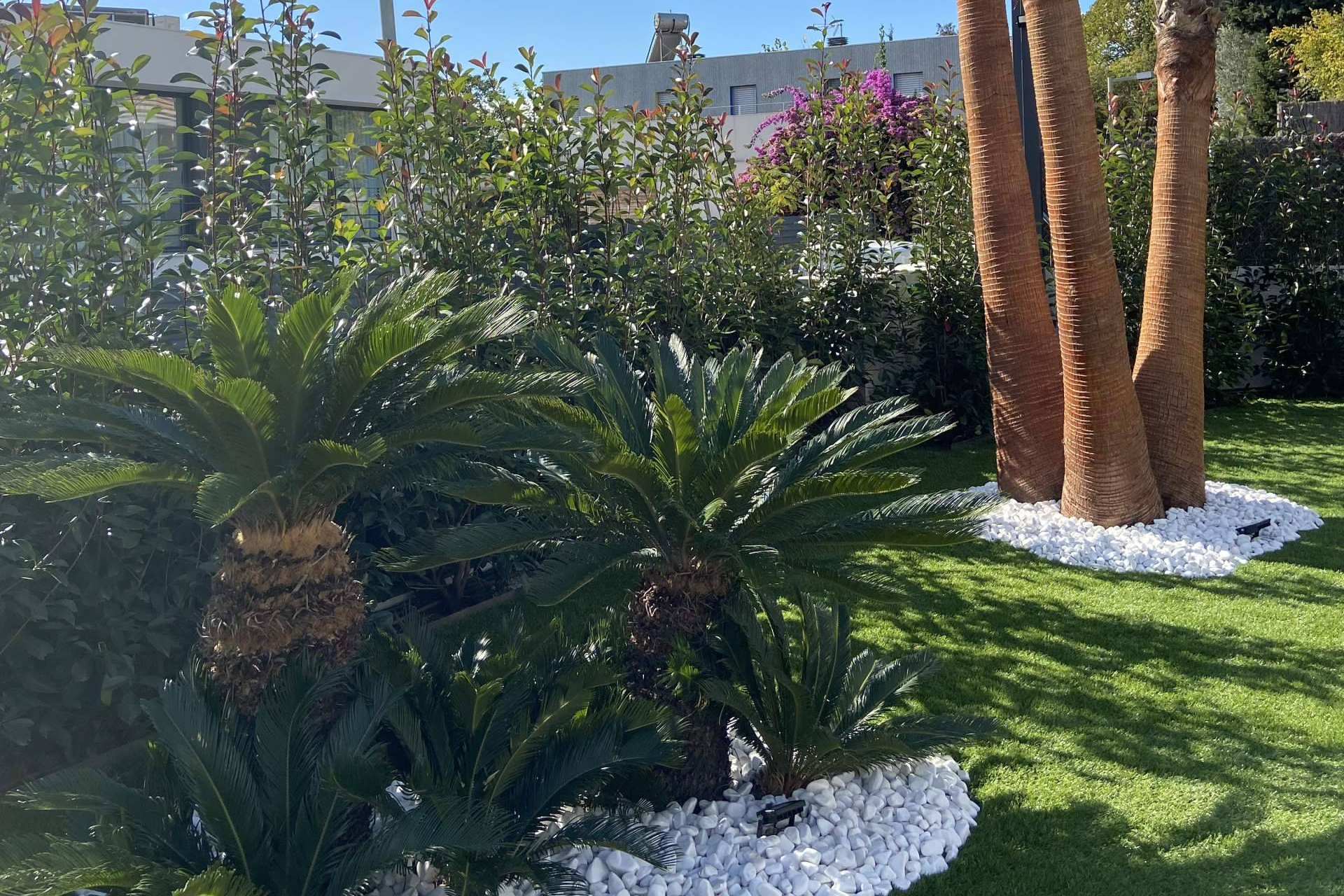 Sendo Plant; más de 35 años creando jardines sostenibles y duraderos en Barcelona