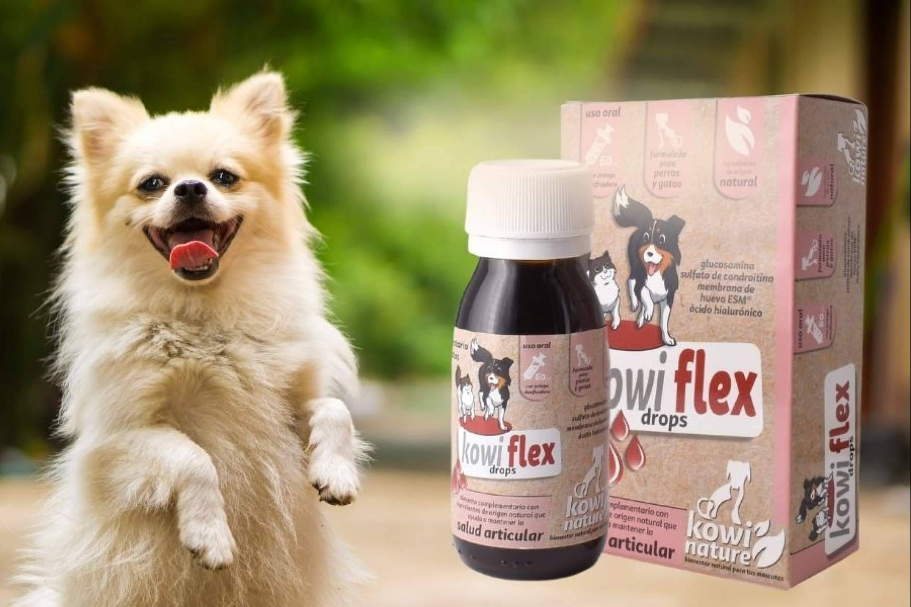 ¿Cuándo usar condroprotectores y cuándo Omega 3 para cuidar las articulaciones de perros y gatos?