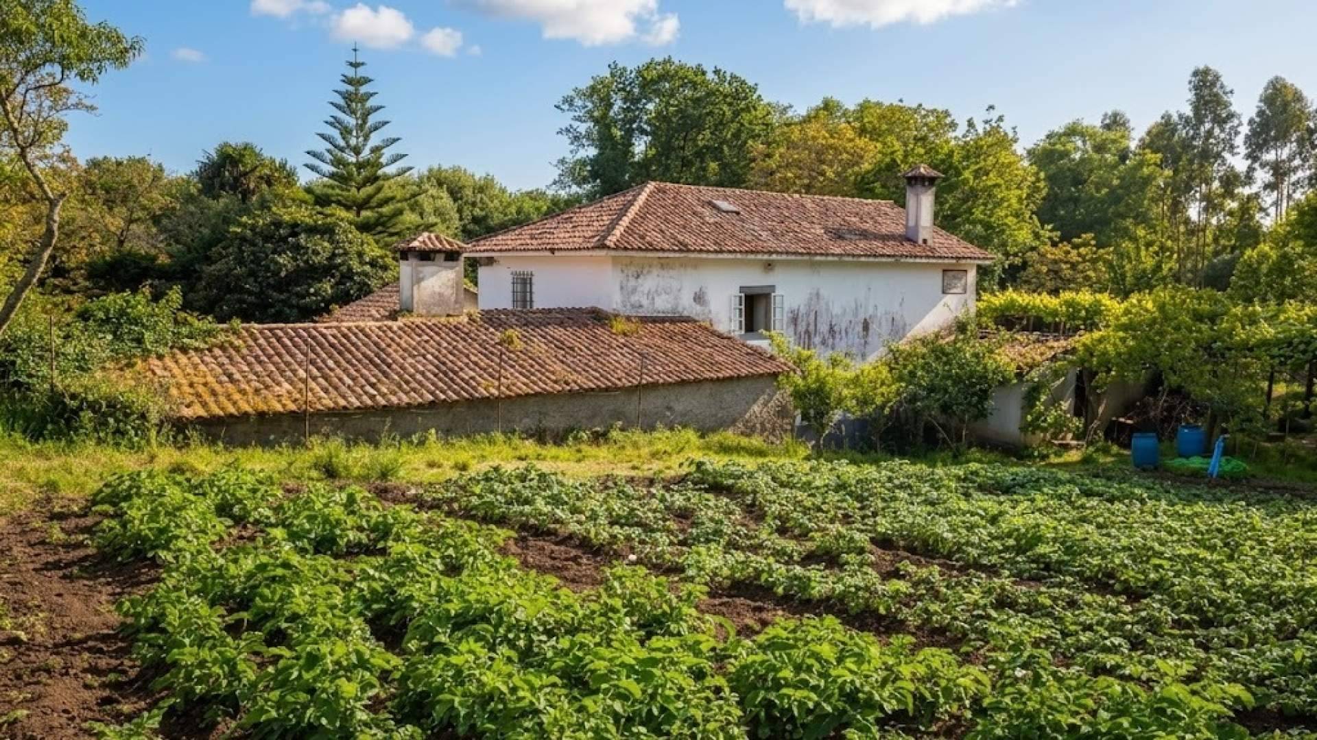 SC Inmobiliarias pone a la venta el Muíño das Amenadás, un molino centenario en activo junto al río Freixeiro de Narón