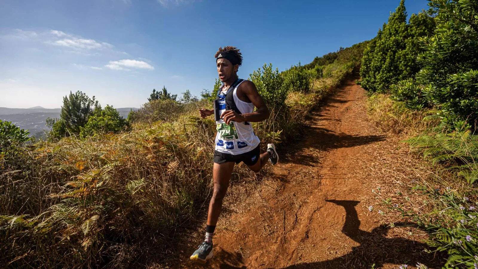 Correr, animar o jugar; la Aguas de Teror Trail lanza La Quiniela Emicela para todo el que quiera participar